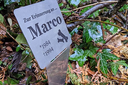 Gedenktafel aus Edelstahl für Tiere